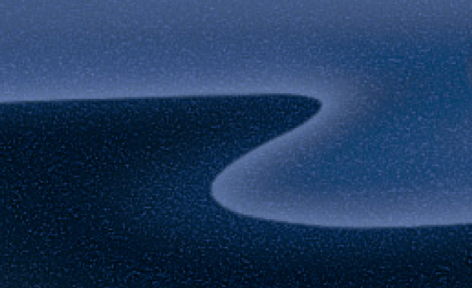 Large View