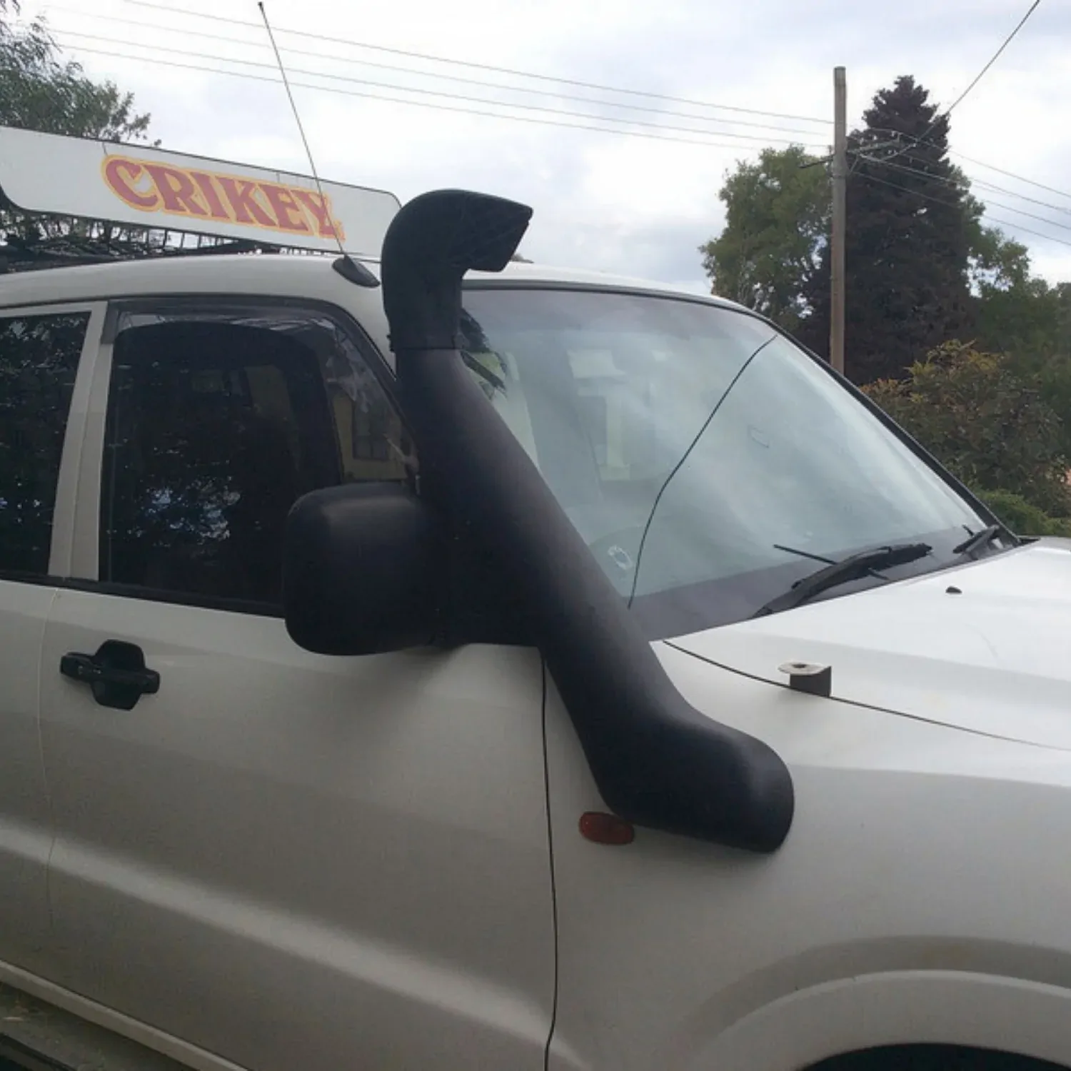 Large View