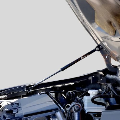 Bonnet Strut Kits