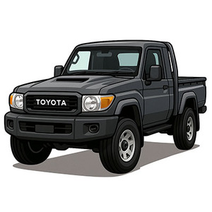 79 Series Single Cab Mid 2016+