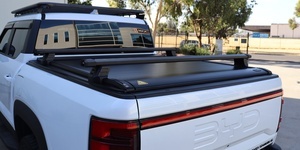 BYD Electric Roller Cover
