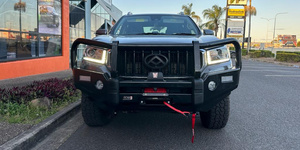 LDV Deluxe Bull Bars